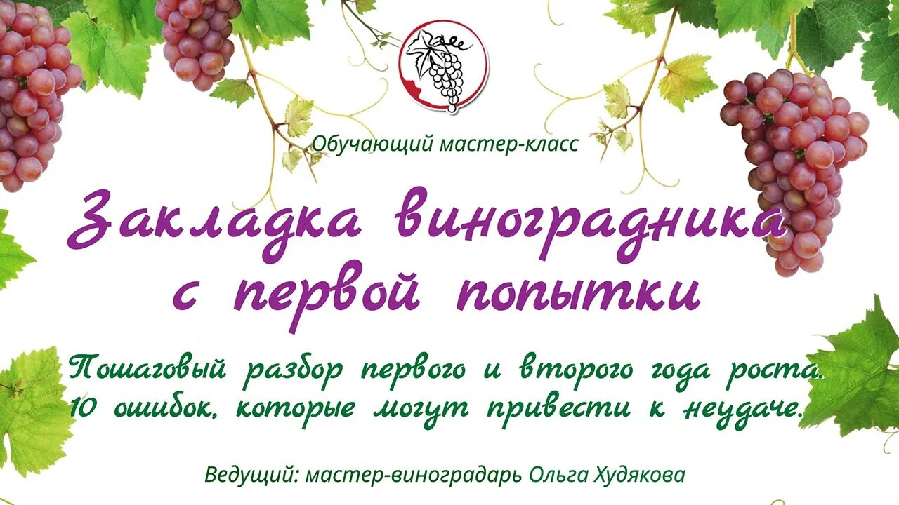 Снт виноградарь ростов на дону. Визитка виноградаря. Виноградарь в Ростове. Марафона виноград. Забег виноград.