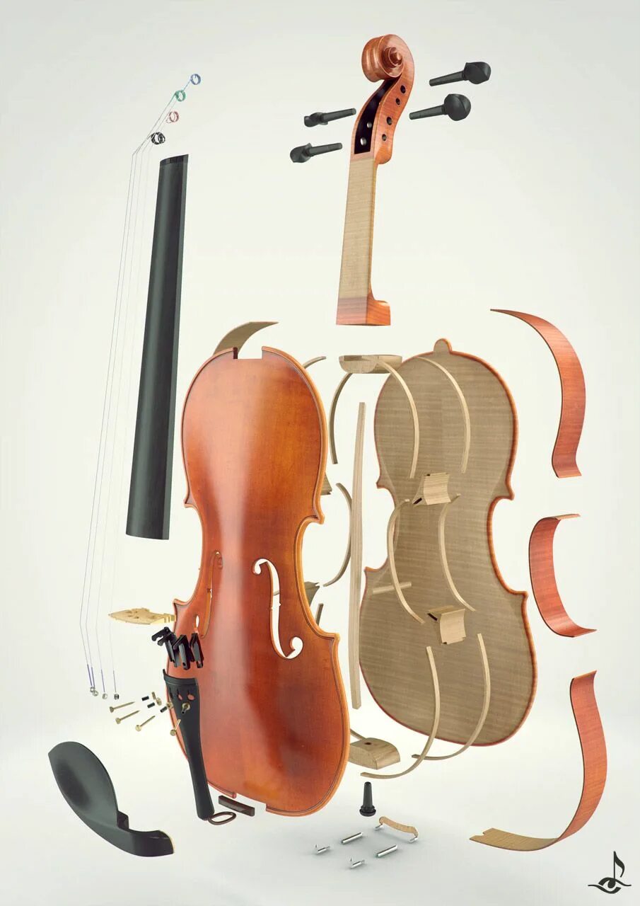 Музыка контрабас и скрипка. Строение виолончели. Строение скрипки. Детали виолончели. Конструкция контрабаса.