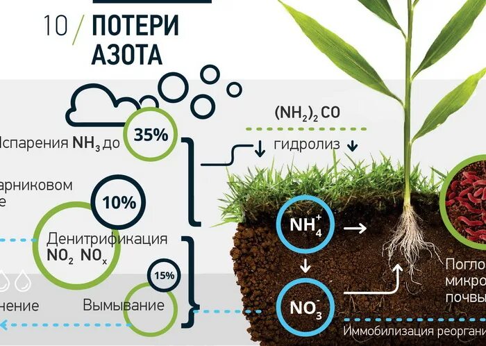 Растения усваивают азот из воздуха. КАС 32 удобрение. Карбамидно-аммиачная смесь КАС. Внесение азота в почву. Удобрения для растений.