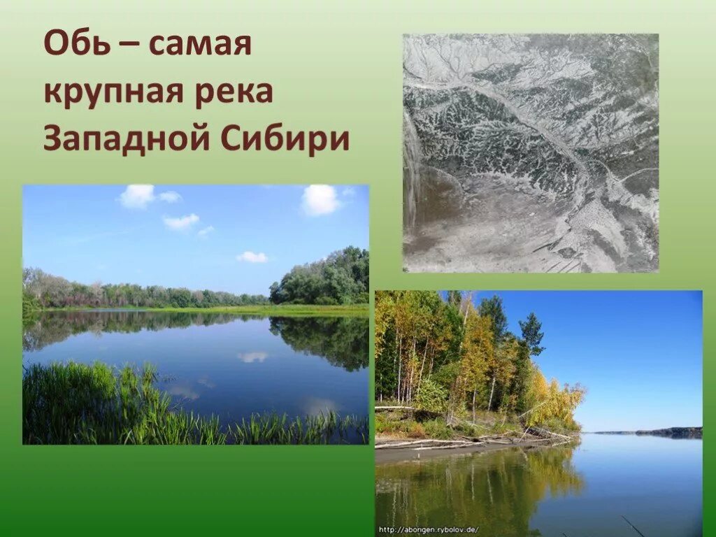 Обь какая природная зона. Обь крупнейшая река Сибири. Обь презентация. Самая большая река Западной Сибири. Западно Сибирская реки и озера.