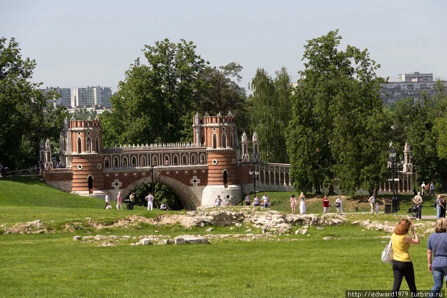 Район царицыно купить. Царицыно район Москвы. Царицыно вид района. Царицыно музей-заповедник пикник. Москва район Царицыно фото.