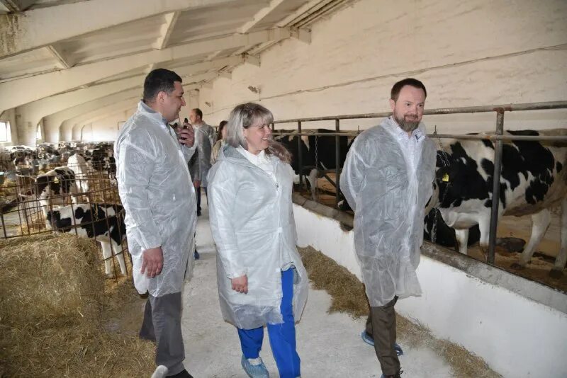 Совхоз имени ленина животноводство. Совхоз имени ленина коровник. Ферма совхоз. Ферма совхоз. Ферма совхоз.