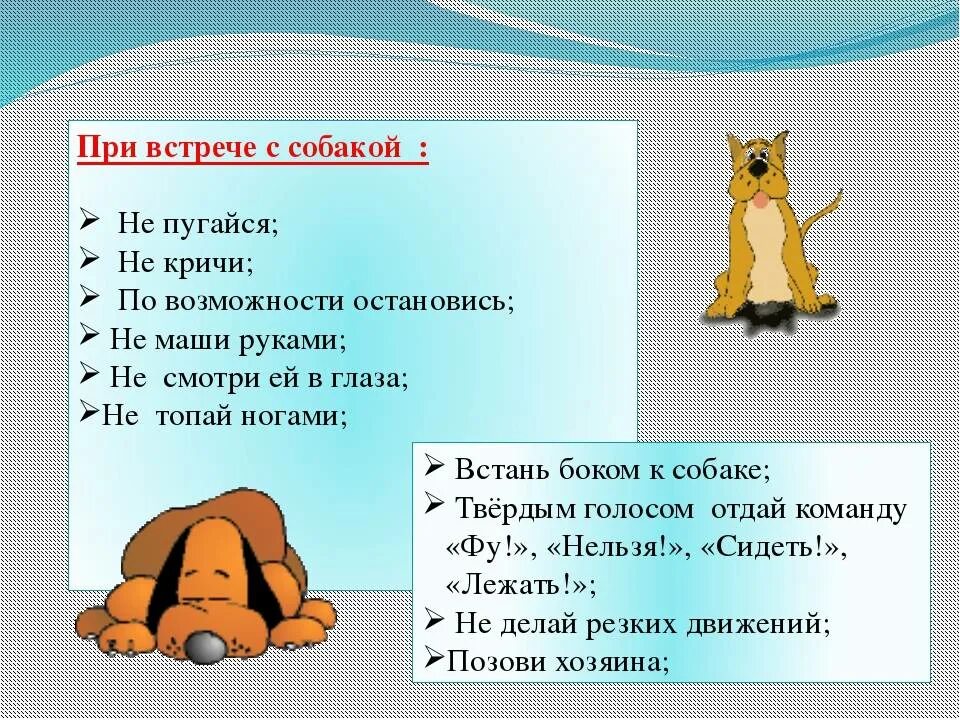 Правила поведения при встрече с бродячими собаками. Безопасность при встрече с собакой. Поведение при встрече с собакой. Правила поведения с бродячими собаками. Правила безопасности при встрече с бродячими собаками.