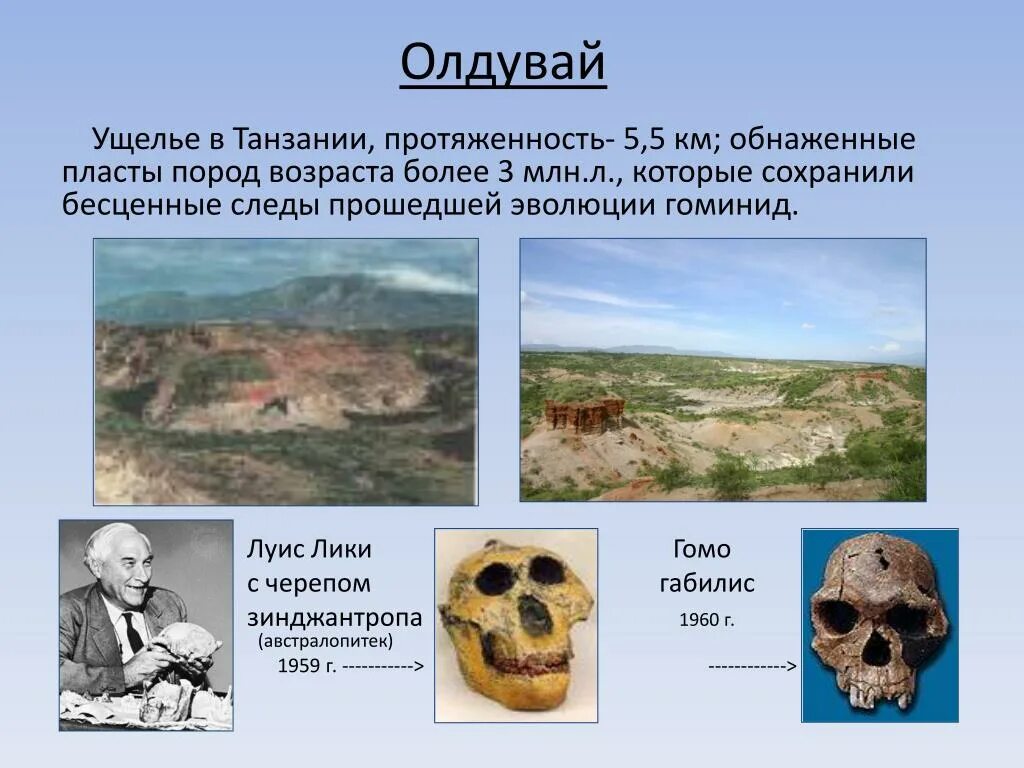 Мэри лики археолог. Луис сеймур базетт лики. Луис лики антрополог. Луис лики олдувайское ущелье. Луис сеймур базетт лики.