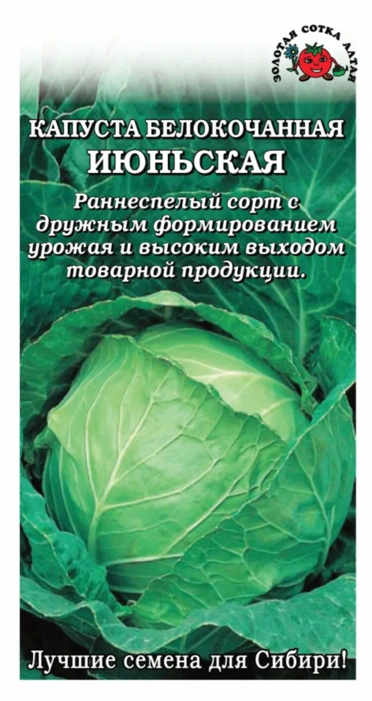 Капуста белокочанная ранняя Июньская. Капуста белокочанная Июньская описание. Капуста Июньская семена.