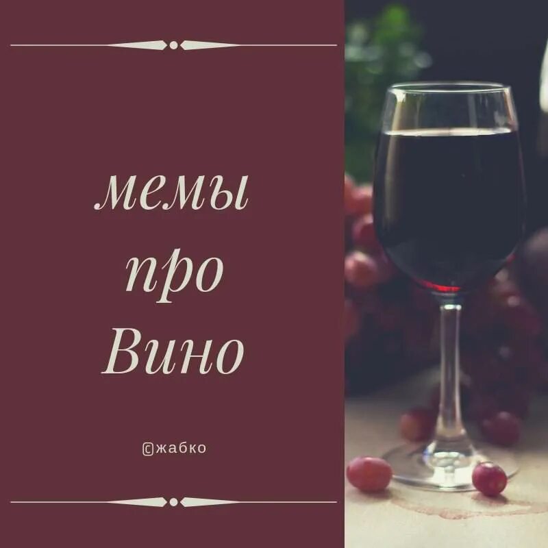 Фразы о вине. Смешные фразы про вино. Фразы про вино. Цитаты про вино смешные. Высказывания про вино.