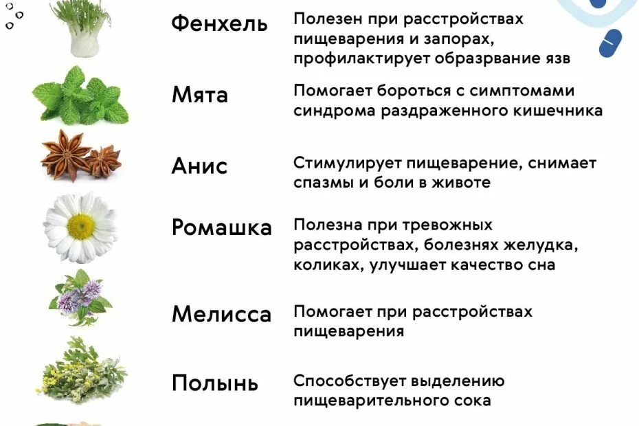 Какая трава от вздутия. Продукты вызывающиегазооброзование в кишечнике. Продукты вызывающие газообразование и вздутие живота. Продукты уменьшающие метеоризм. Газообразование в кишечнике продукты вызывающие и вздутие живота.