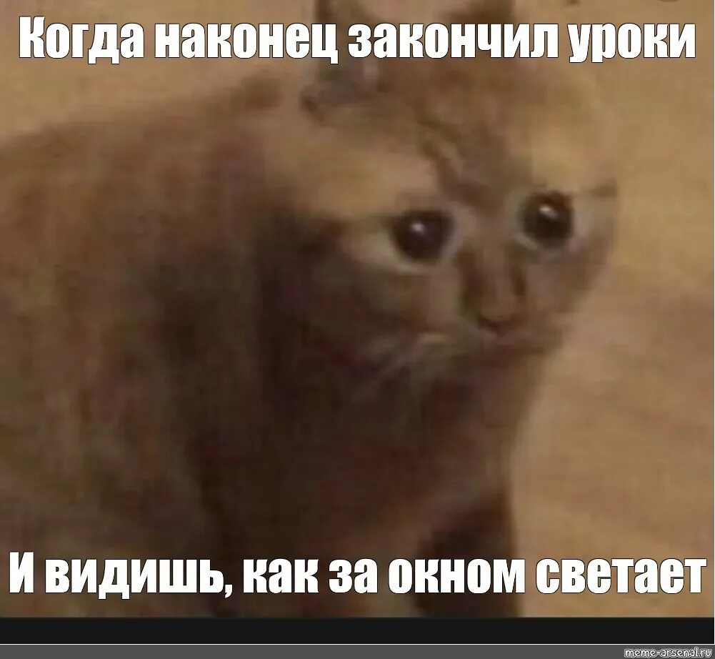 Когда это всё наконец закончится. Наконец рабочий день окончен. Троллинг комиксы. Наконец закончил. Наконец то зима закончилась.