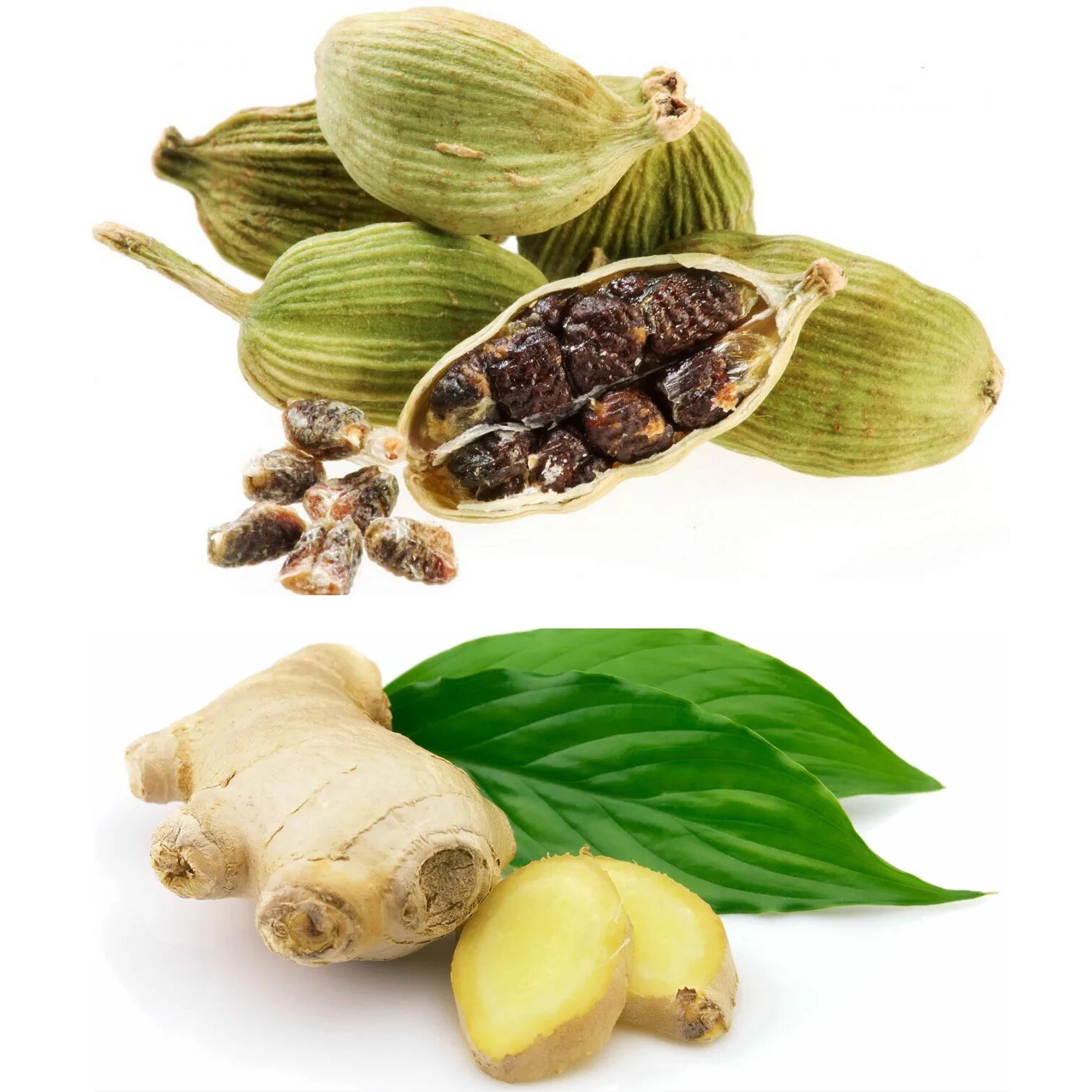 Кардамон пятерочка. Elettaria cardamomum. кардамон стикс. зеленый кардамон. малабарский кардамон.