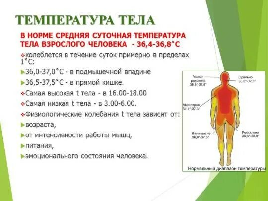 Температура во рту и подмышкой. Показатели температуры тела человека. Норма температуры человеческого тела. Таблица нормы температуры тела. Нормальная температура тела человека норма.