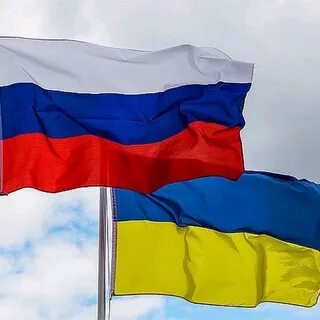 Друзья стяга