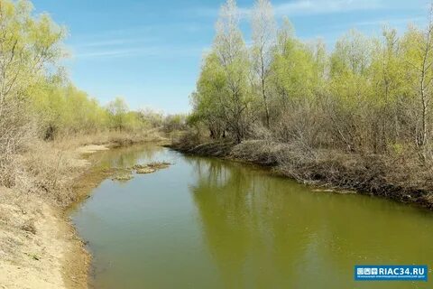 Х ларинский алексеевский волгоградская