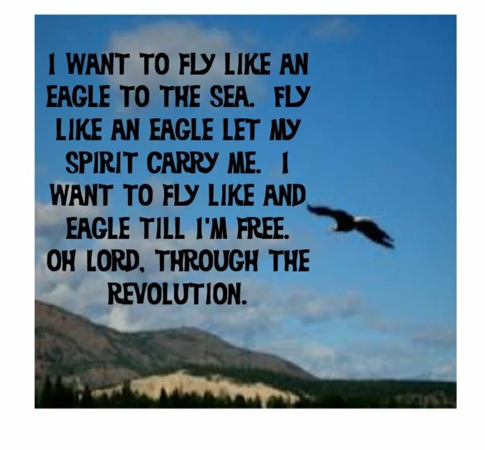 I like to fly my. Fly like an eagle(ex-/ex). eagles текст. want to fly. the eagle s song.