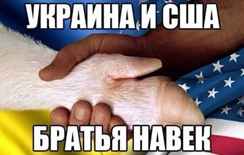 На ум пошло