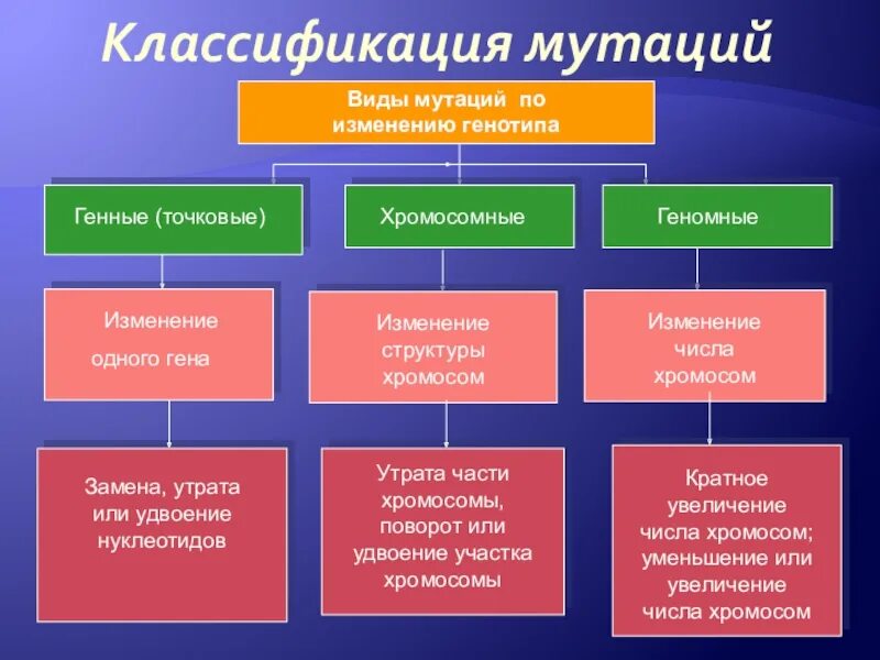 В результате изменения генотипа. Классификация мутаций таблица с примерами. Хромосомные и геномные мутации. Виды мутаций. Классификация мутаций.