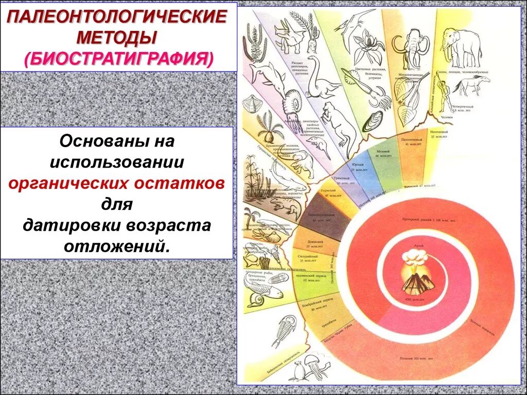 Палеонтологический метод определения. Биостратиграфический (палеонтологический) метод это. палеонтологические методы в стратиграфии. биостратиграфический метод. методы изучения палеонтологии.