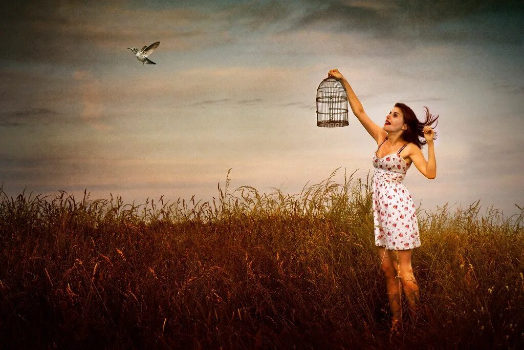 Выбор отклик в сердце. Девушка стоящая перед выбором. Картинка где женщина держит ромашку перед собой стоя. Bird Flies along the Glass building.