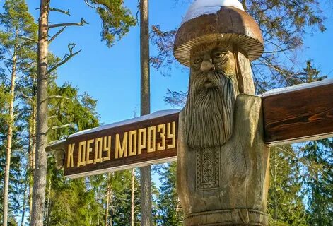 Беловежская пуща отдых