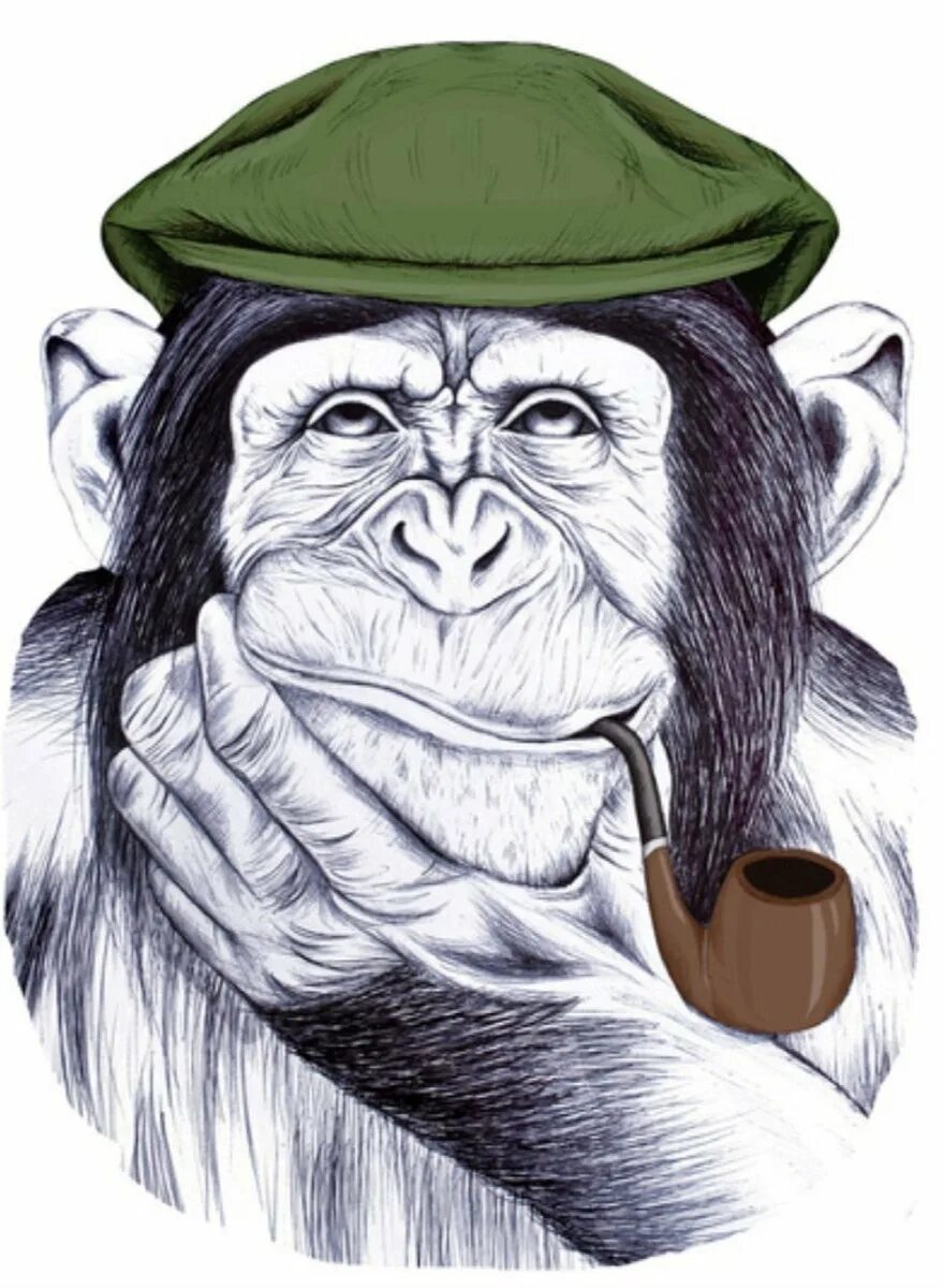 Monkey art