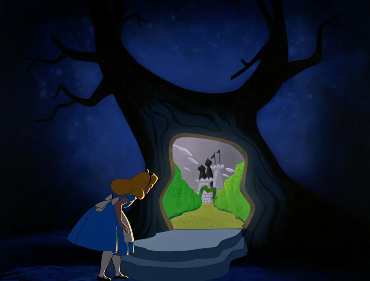 Channel rabbit hole animation