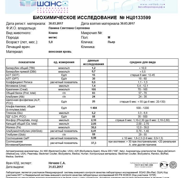 Фосфатаза повышена в крови у женщин. Щелочная фосфатаза в биохимическом анализе крови. Щелочная фосфатаза биохимия крови. Щелочная фосфатаза в биохимическом анализе норма. Нормы щелочной фосфатазы в анализе крови.