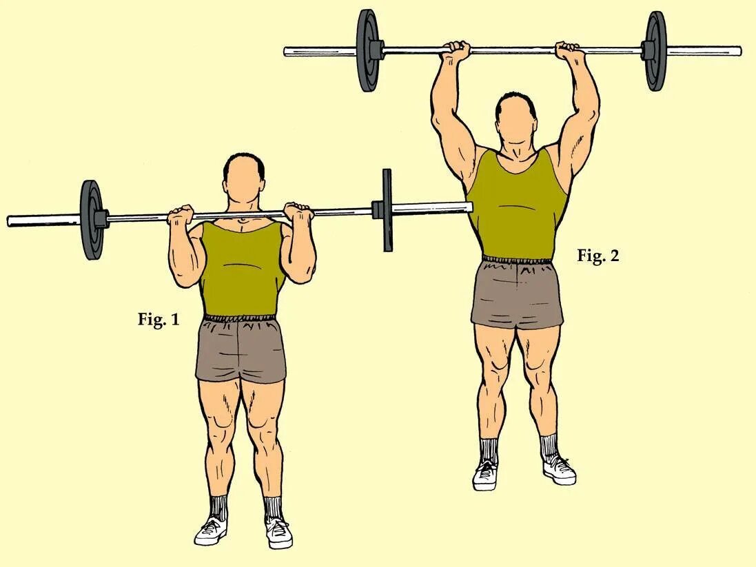 Стоя разбор. Армейский жим штанги стоя. Армейский жим штанги стоя техника. Жим штанги вверх стоя. Армейский жим штанги стоя техника выполнения.