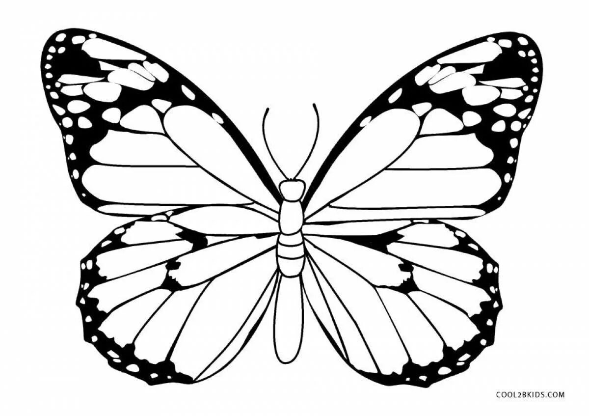 Распечатать большие бабочки