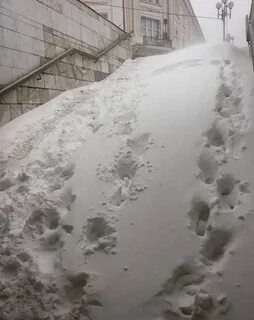 Выпавшие осадки снег