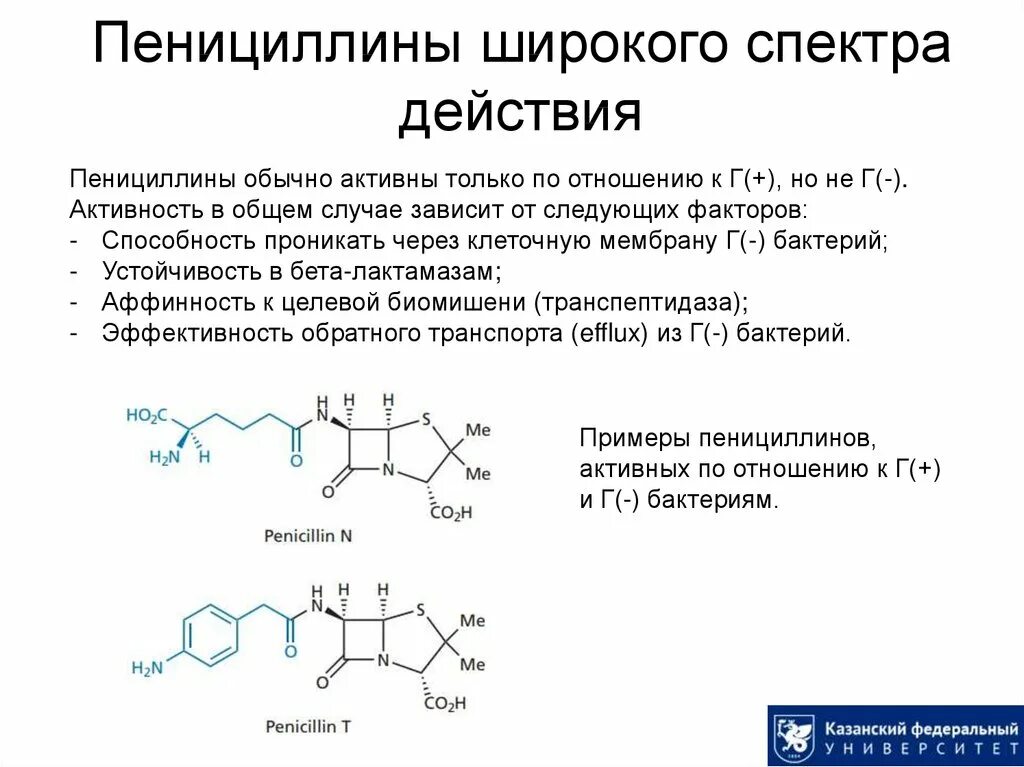 Пенициллины широкого действия