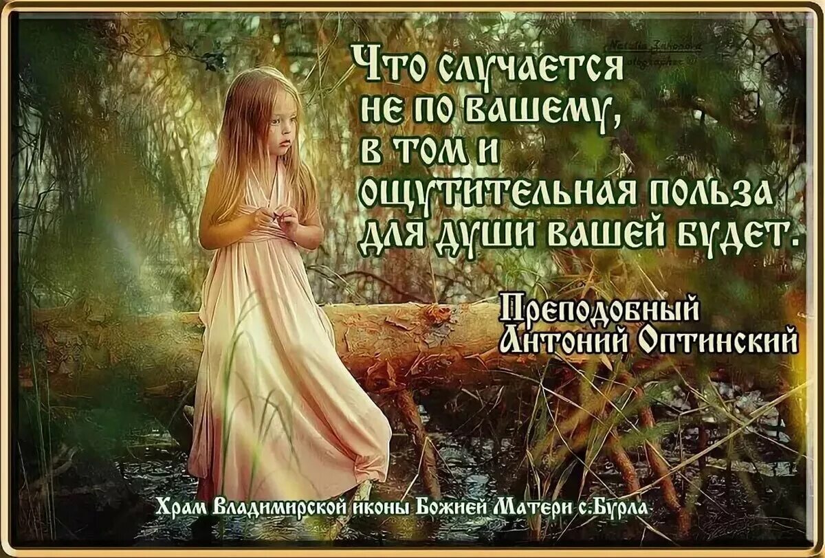 Мудрее и с каждым