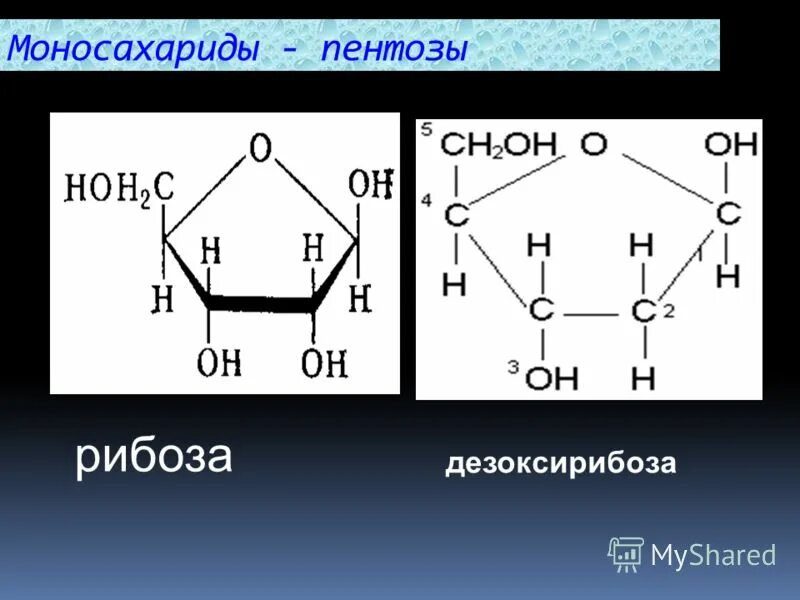 Строение рибозы формула. Строение дезоксирибозы формула. Пентоза рибоза. Моносахариды рибоза.