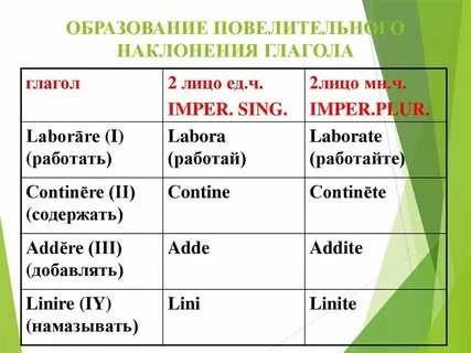 Основа глагола в повелительном наклонении