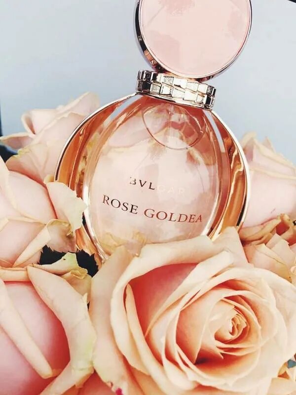 Rose goldea blossom. Rose Goldea Парфюм. Булгари Голден Роуз. Bvlgari Golden Rose.