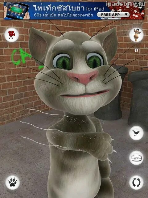 Игра говорящий компьютер. Игра talking Tom Cat (2010). Игра talking Tom Cat (2010) андроид. Talking Tom Cat 2010 Android. Talking Tom Cat 2010 обновление.