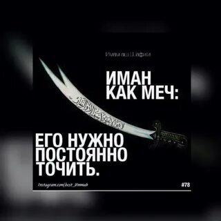 Книга имам шафии