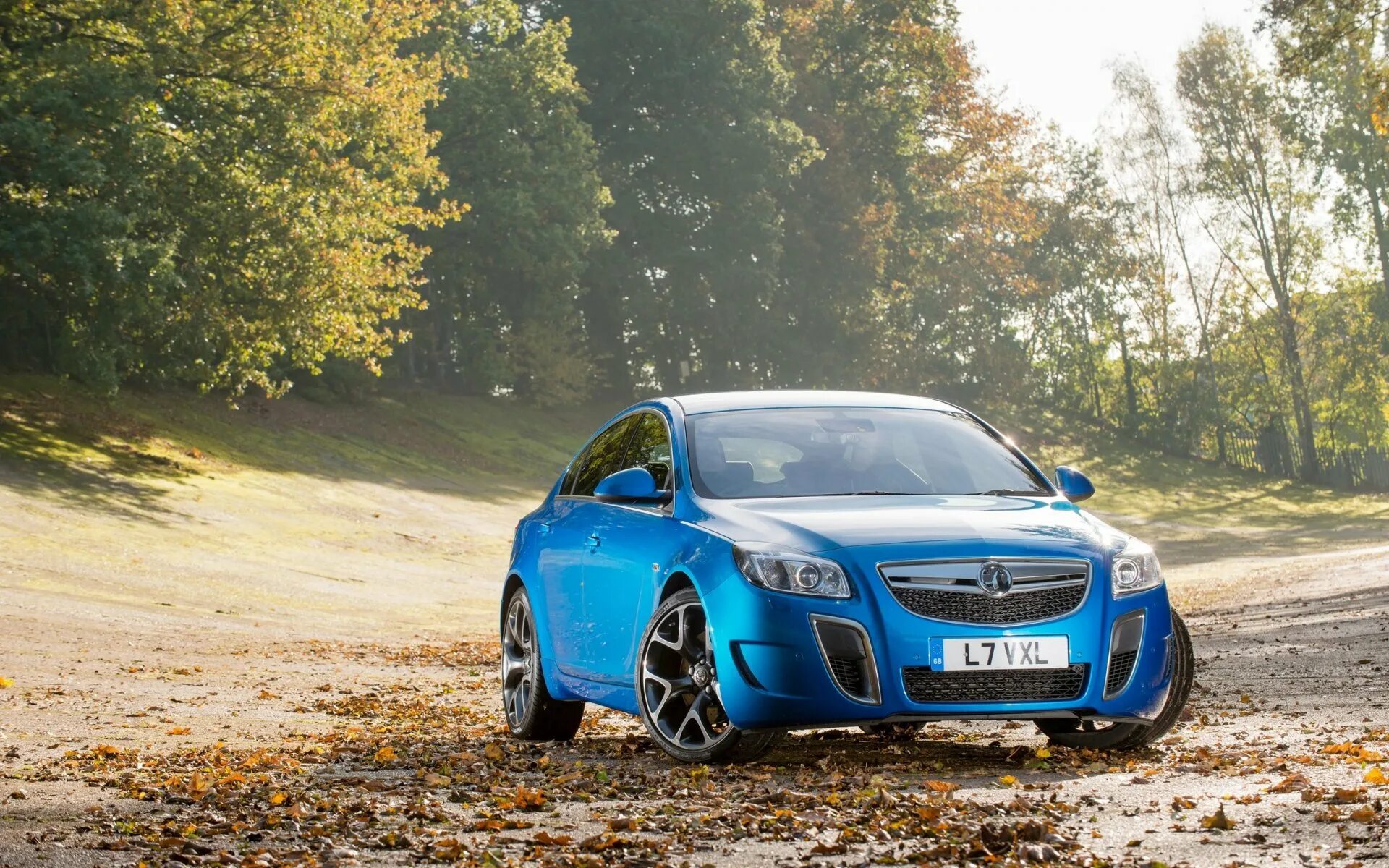 Opel Insignia OPC. Vauxhall Insignia VXR. Субару Инсигния. Vauxhall Insignia VXR Forza Horizon 4. Красивые машины лето