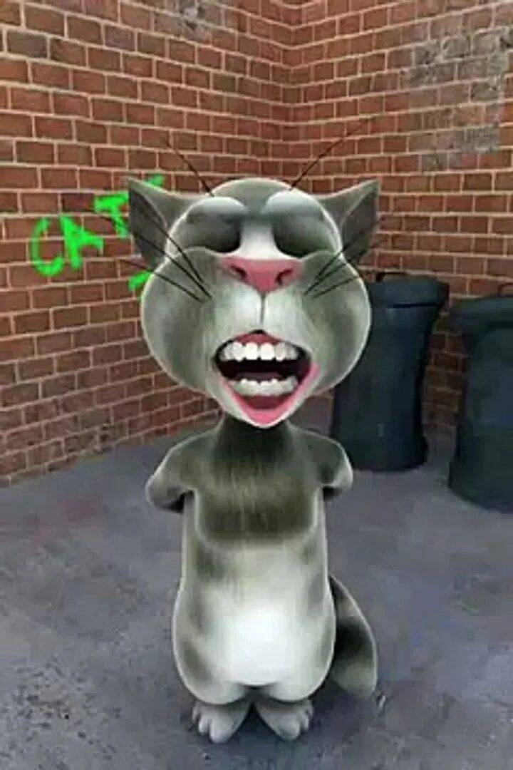 Talking Tom 2010. Игра talking Tom Cat (2010). Talking Tom Cat 2. Talking Tom Cat 2011.