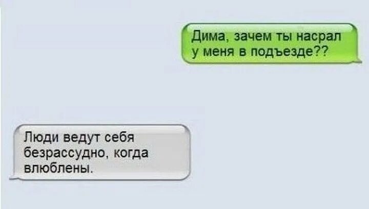 Почему дим. Люди ведут себя безрассудно когда влюблены. анекдоты про диму. приколы про диму смешные. анекдот про диму смешной.