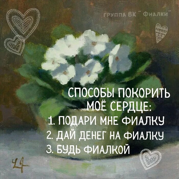 На заднем дворе расцвели фиалки 45. Цитаты про фиалки. высказывание про фиалки. фразы про фиалки. стих про фиалку.
