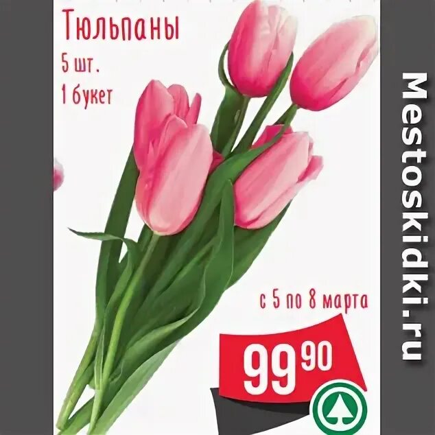 Тюльпаны в окее