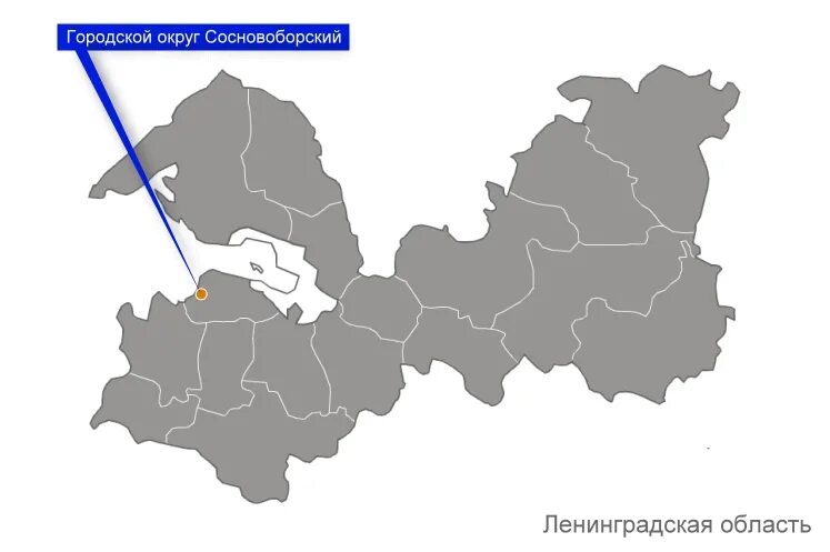 Ленинградский городской округ