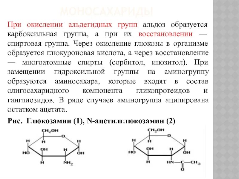 Наличие в глюкозе альдегидной группы. Д глюкуроновая кислота биологическая роль. Окисление моносахаридов с альдегидной группой. Глюкуроновая кислота строение. Роль глюкуроновой кислоты.