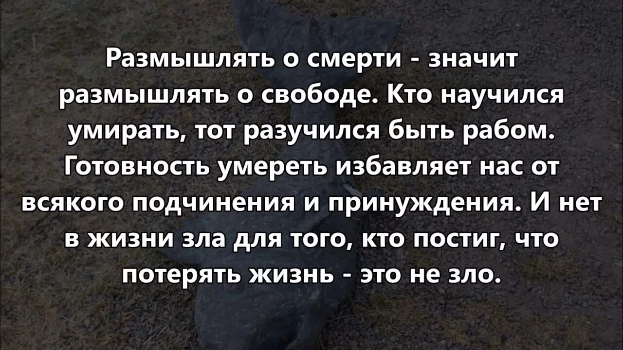 Умру цитаты. Цитаты про смерть. цитаты про жизнь и смерть. фразы про смерть. афоризмы про смерть.