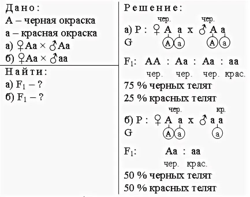 10 класс решение генетических задач. Схема решения генетических задач. Биология задачи генетические задачи 9 класс с решением. Задачи по генетике 9 класс с ответами и решением. Задачи по биологии на генетику с решением.