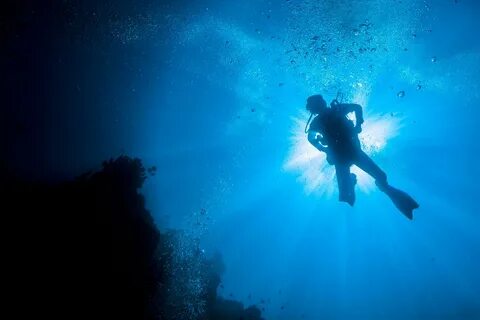 Включи dive in