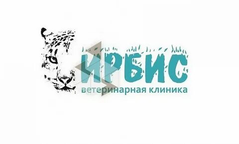 Ирбис аналитик