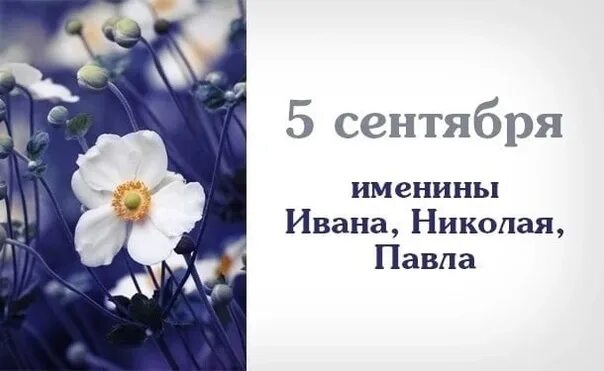 1 сентября 6 класс. Когда будет 5 сентября. Когда будет 5 сентября. Когда будет 5 сентября. 5 сентября календарь.
