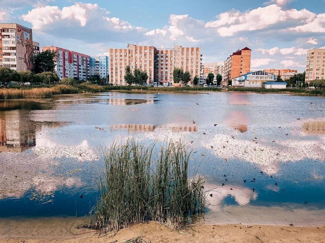 Пруд южный воронежская область. Пруд южный тюмень. Пруд южный воронежская область. Пруд южный тюмень фото. Старый пруд южный тюмень.