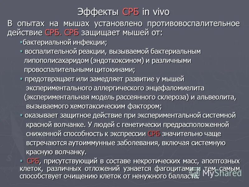 Общий и срб. Срб при бактериальной инфекции. с-реактивный белок. с-реактивный белок 1. с-реактивный белок (срб).