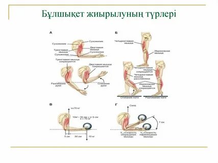 Порно менің әйелімді түсірді